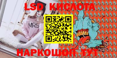 шишки Абакан