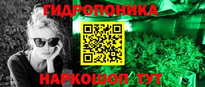 шишки Абакан