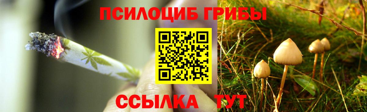 Псилоцибиновые грибы ЛСД Астрахань